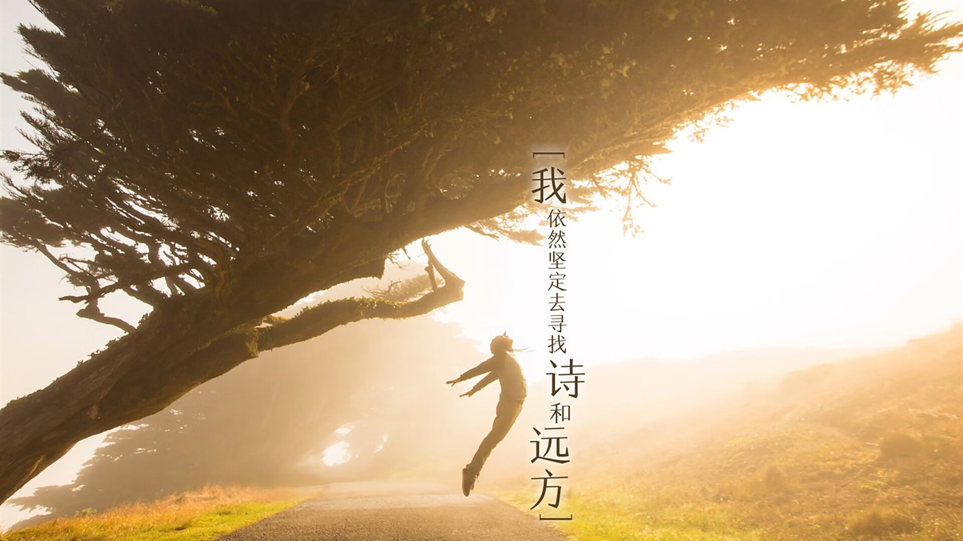 leyu.com-《Rookie：稳步前行，以实力登顶》