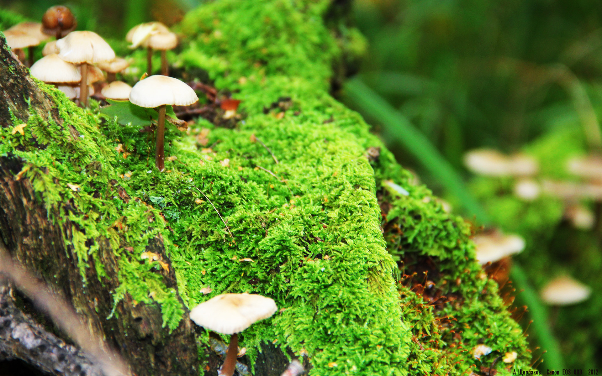 中国青少年篮球行业标准体系全面升级,行业规范化迈出坚实步伐