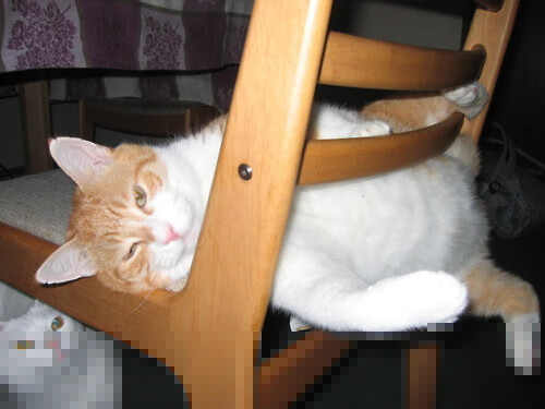 全国青少年“智慧篮”科技创新成果展在深圳亮相,技术驱动新未来