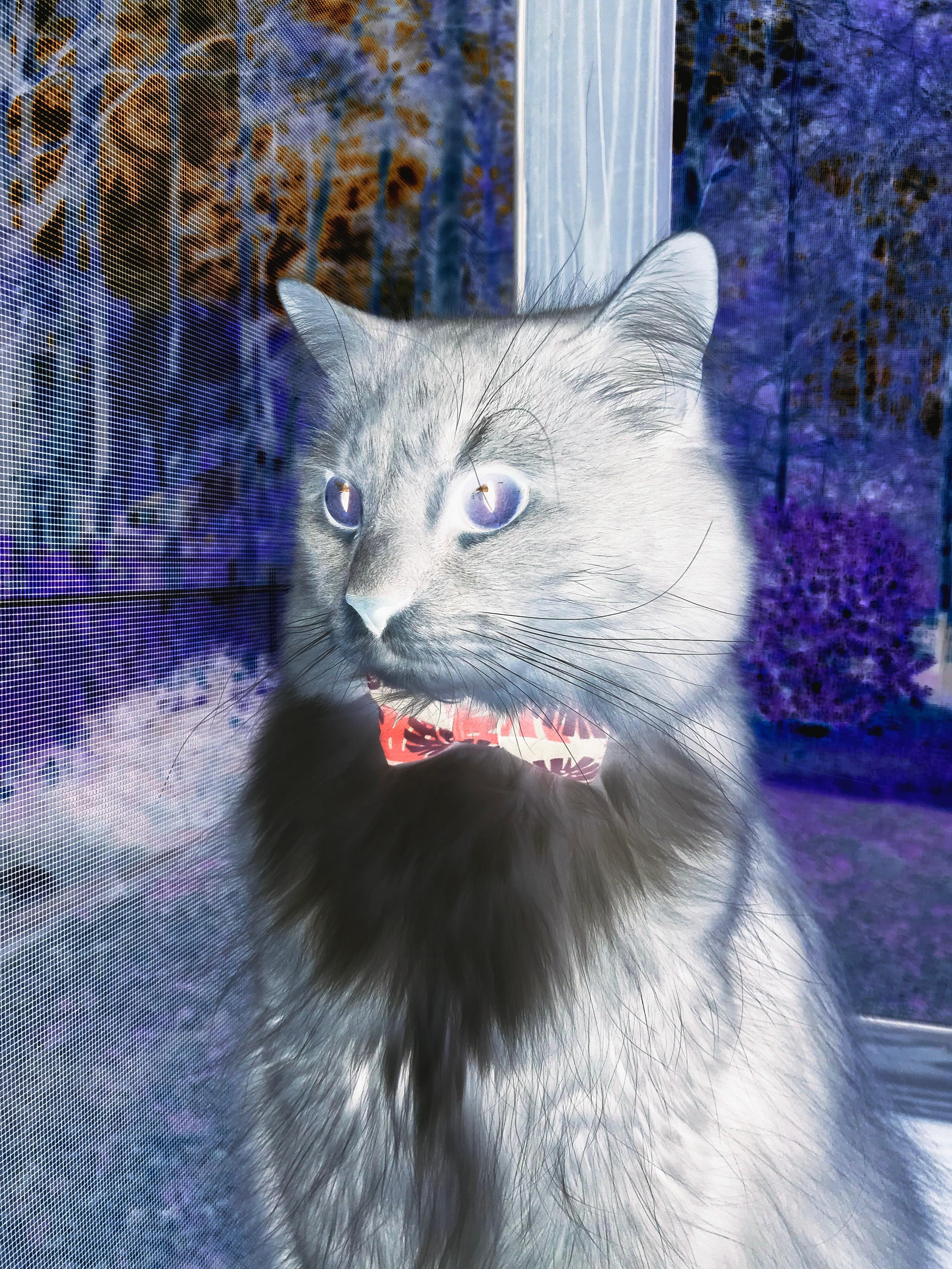 乐鱼（中国）体育官方网站-史上最具影响力的“欧冠经典战役”榜单出炉，欧冠经典之战