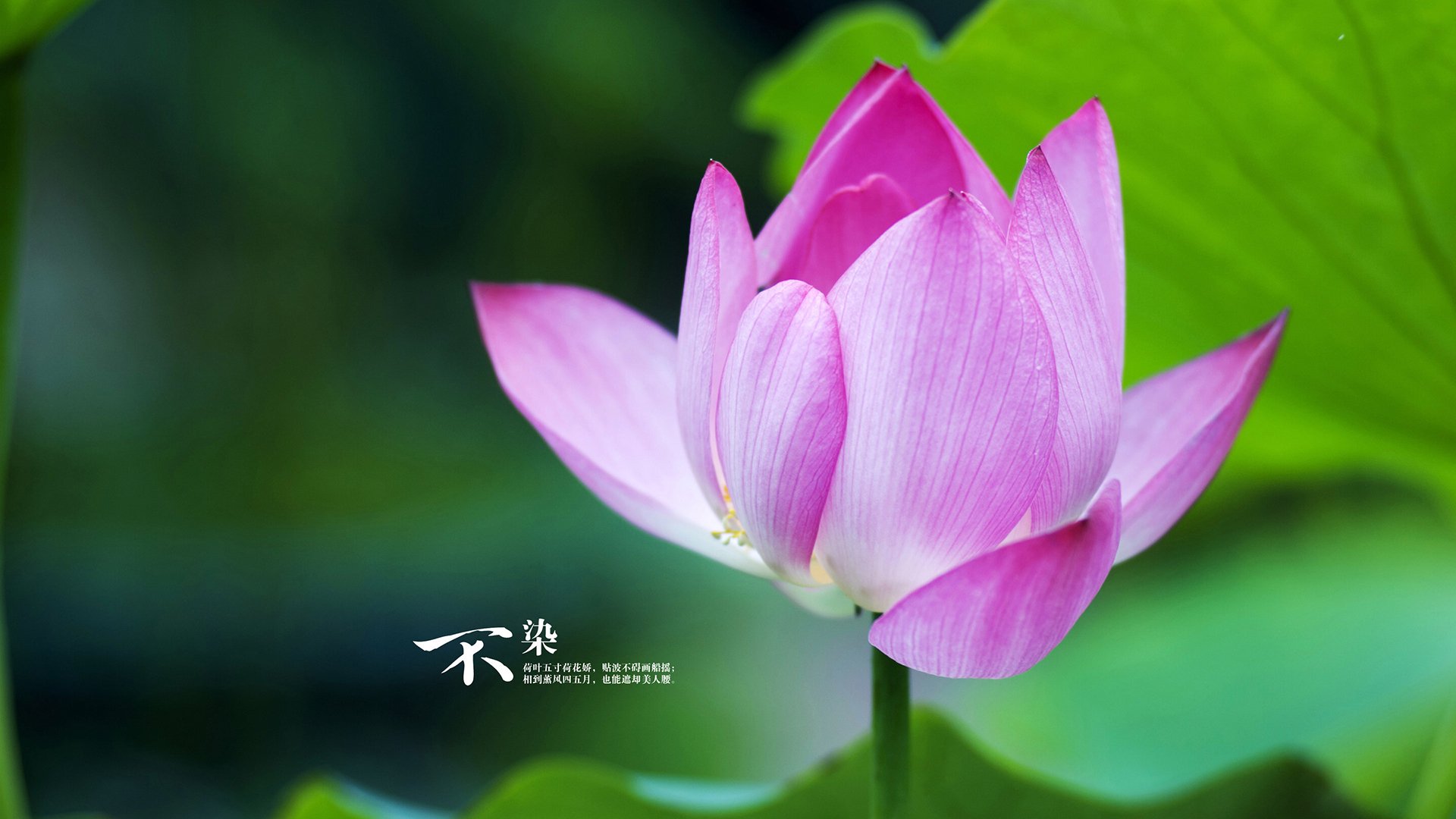 阿根廷反曲弓射手刷新国家纪录，迎接国际挑战，akusta反曲弓