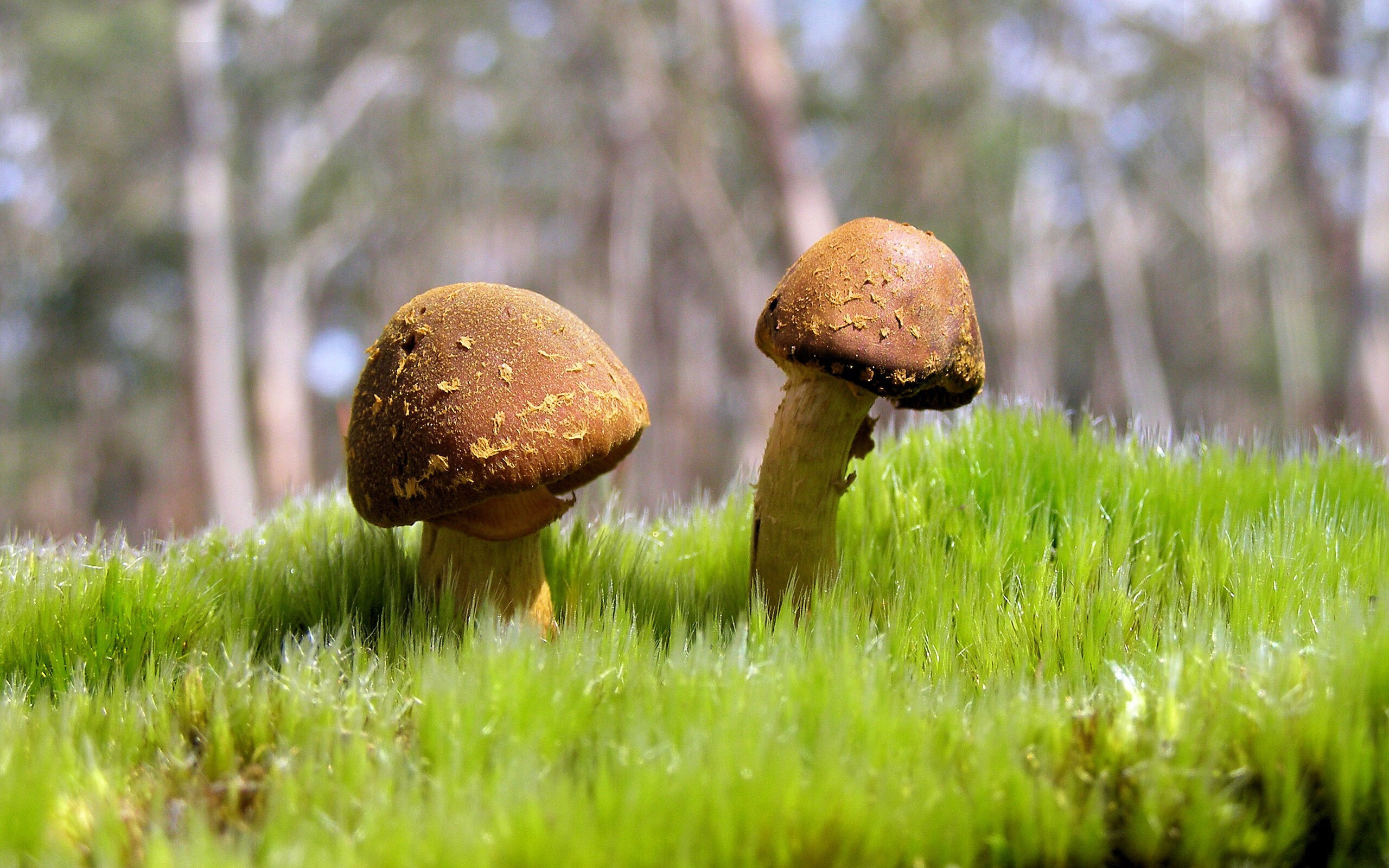 乐鱼vip-EDG战队明星选手动态追踪，edg战队位置