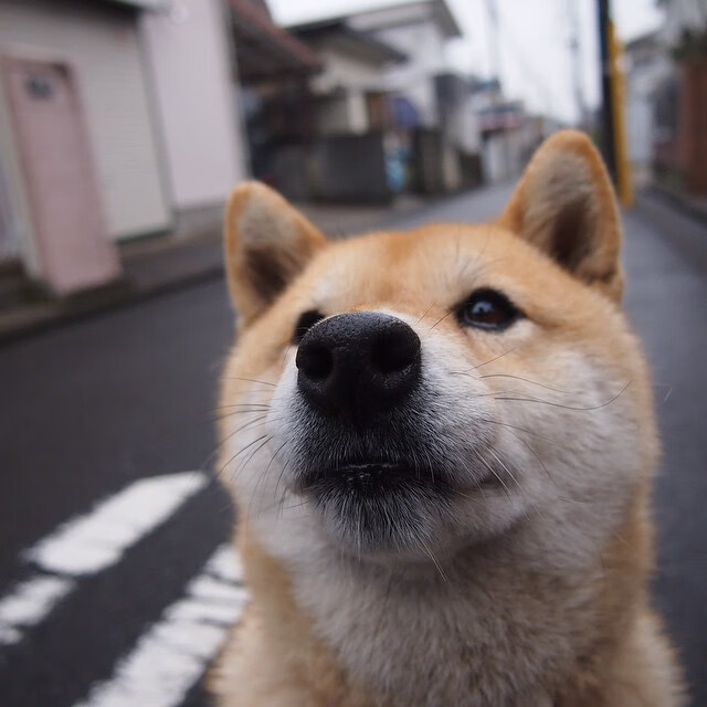乐鱼电竞· (中国)官方网站-VTB联赛季后赛临近，两队剑拔弩张，vtb联合赛