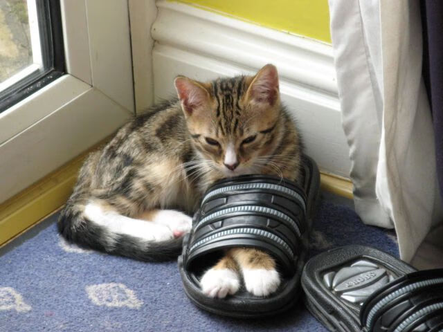 克劳利镇压迫线前移，红魔期待主场连捷，克劳利什么意思