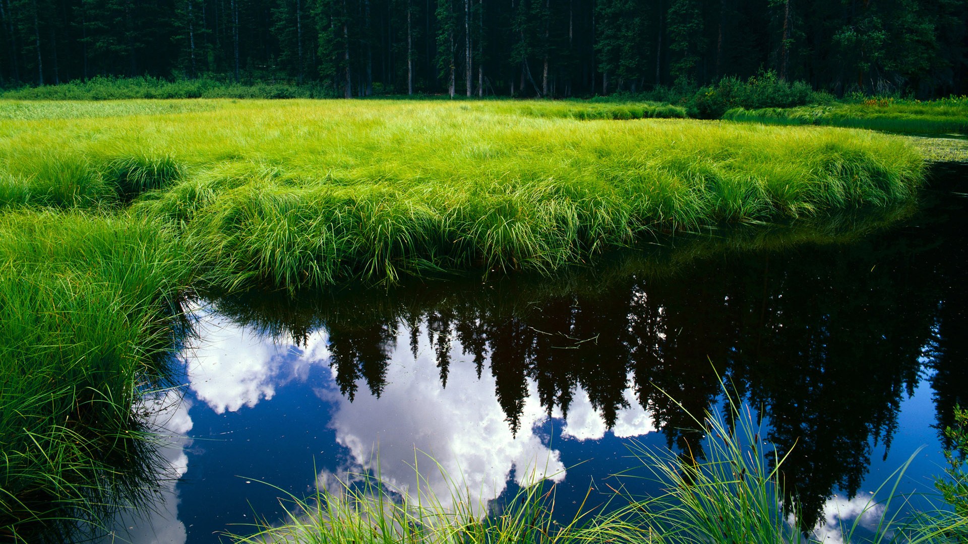 台湾男篮主场胜利,取得重要胜利,台湾男篮主场胜利,取得重要胜利