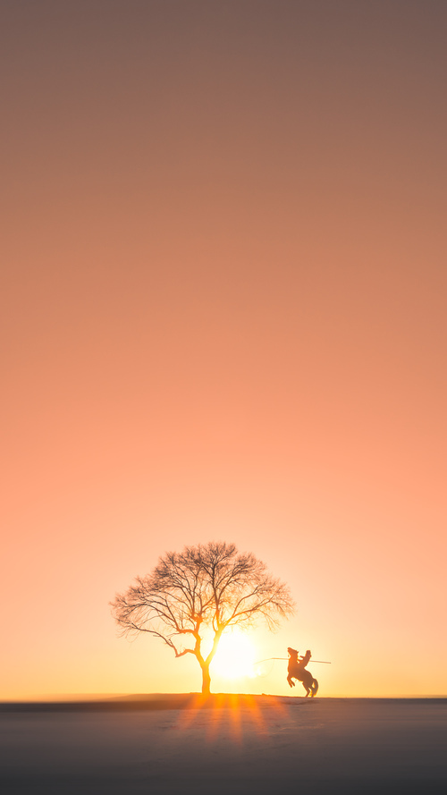 精彩的足球比赛，看谁能一路领先获胜！，精彩的足球比赛怎么写作文