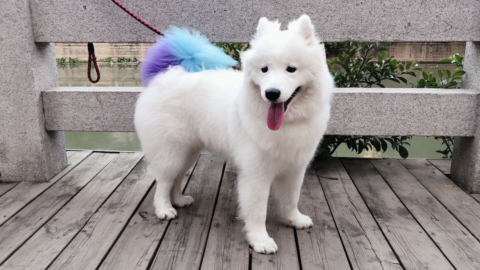 中国篮球联赛观众消费行为特征分析研究,篮球用户群体分析