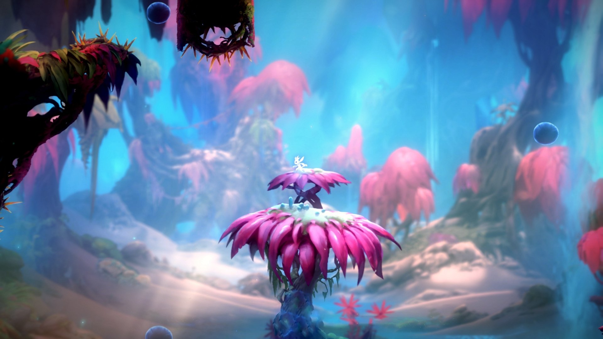 中国篮球联赛观众消费行为特征分析研究,篮球用户群体分析