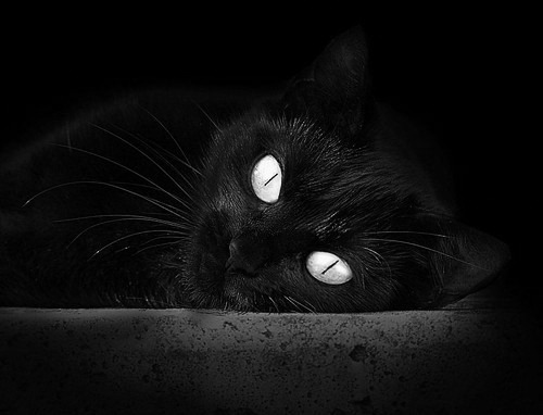 篮球运动员专项体能训练监测技术,篮球专项体能训练有哪些要求