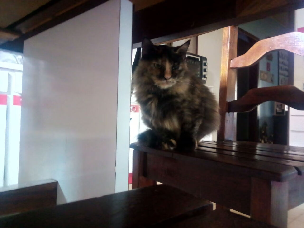 LEYU乐鱼体育官方网站-五大联赛争冠球队是否比保级球队更依赖控球节奏，五大联赛榜首