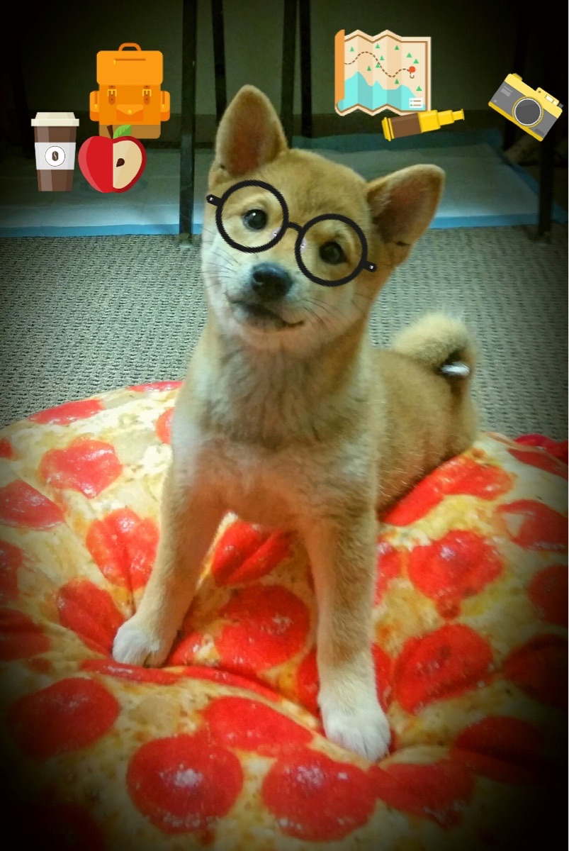 体育新闻中心启动体育产业研究协同发布机制,体育产业新发展格局