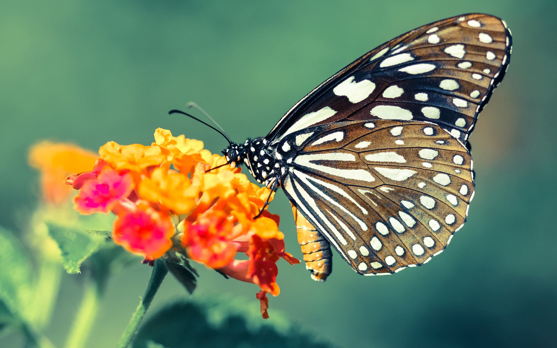 乐鱼体育平台app下载-国际热身赛中国青年队复仇 球迷热议不断，国家队热身赛