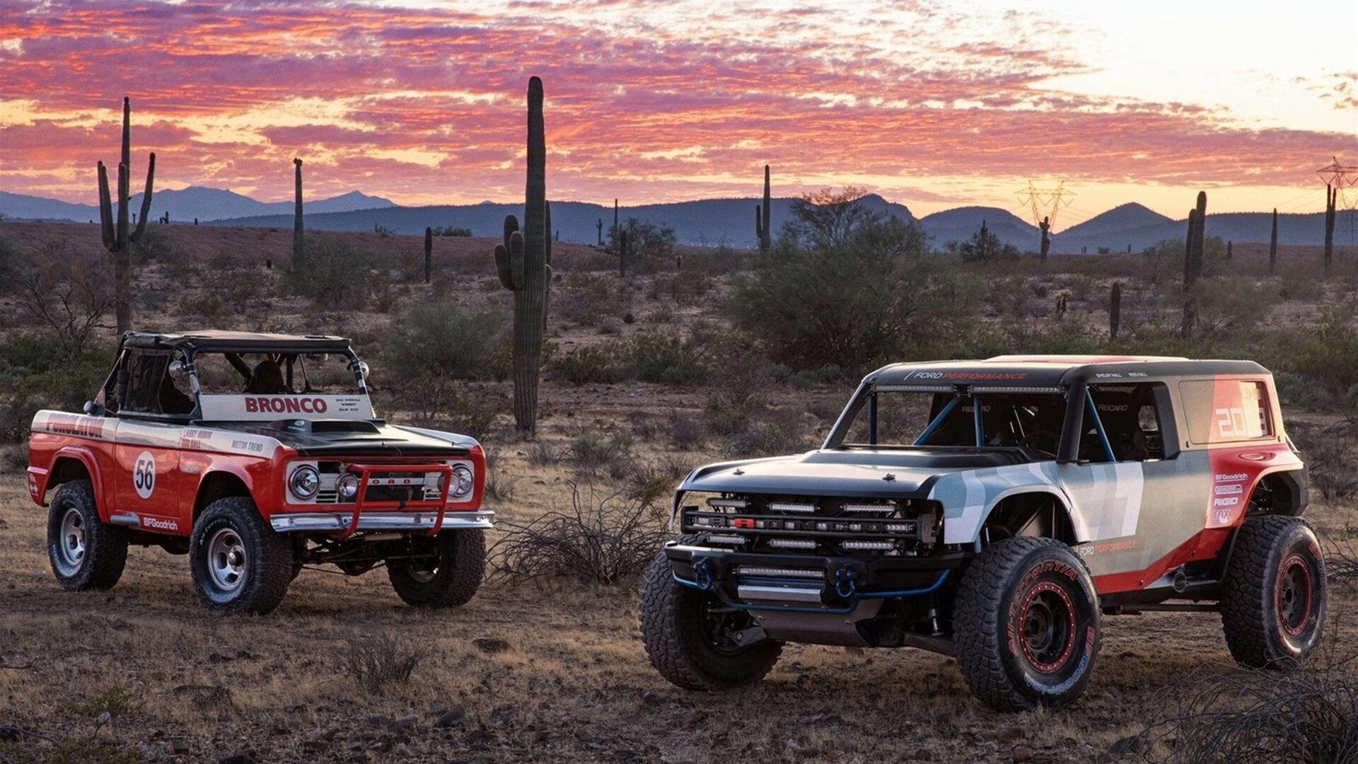 Leyu Sport下载-美澳选手高频换气与高强度并存