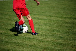 乐鱼电竞· (中国)官方网站-鹈鹕青训体系被评为联盟样板项目，鹈鹕原来是哪个队